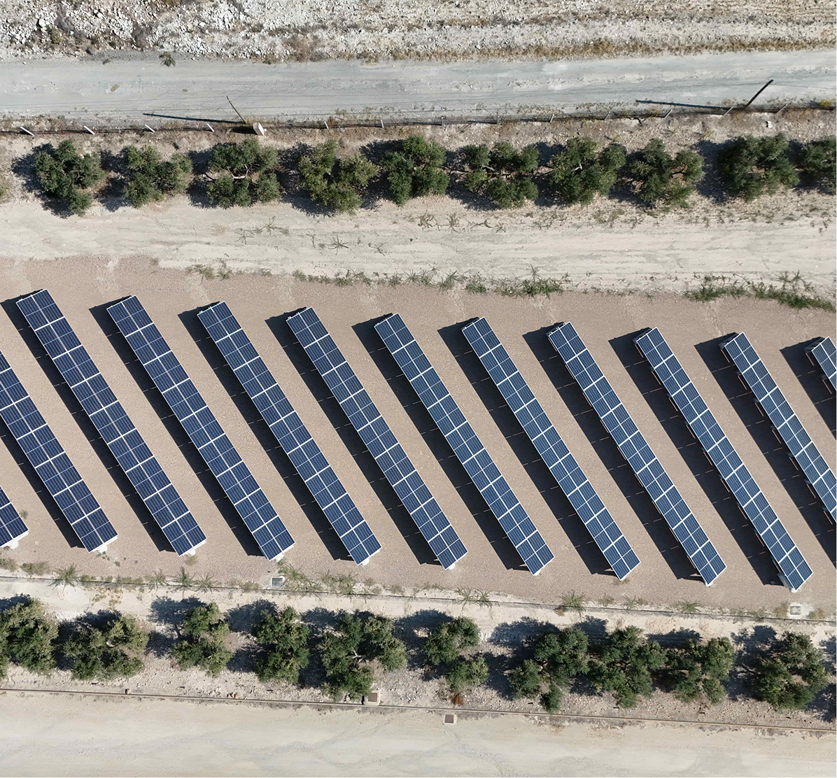 Planta fotovoltaica en Carboneras