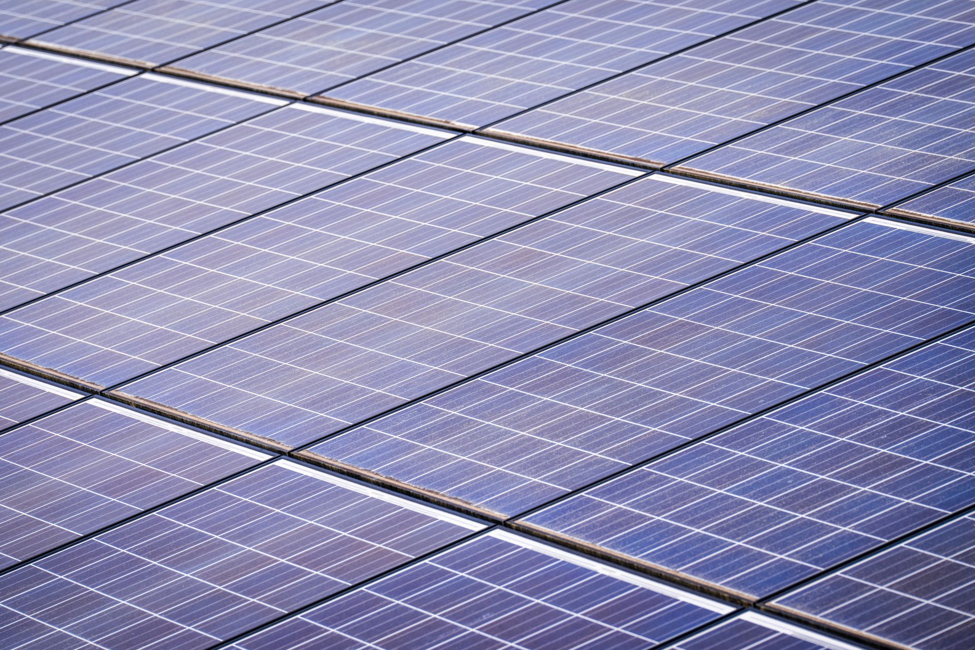 Detalle de paneles fotovoltaicos Detalle de las células de varios paneles fotovoltaicos